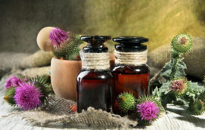 Экстракт расторопши