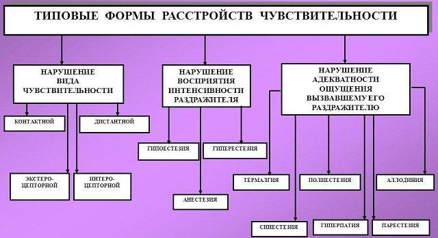 Формы расстройств чувствительности Формы расстройств чувствительности