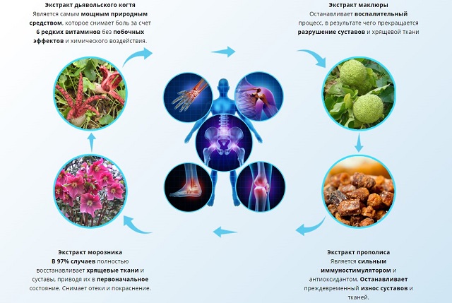 Действующие вещества геля Рецепт гор Действующие вещества геля Рецепт гор