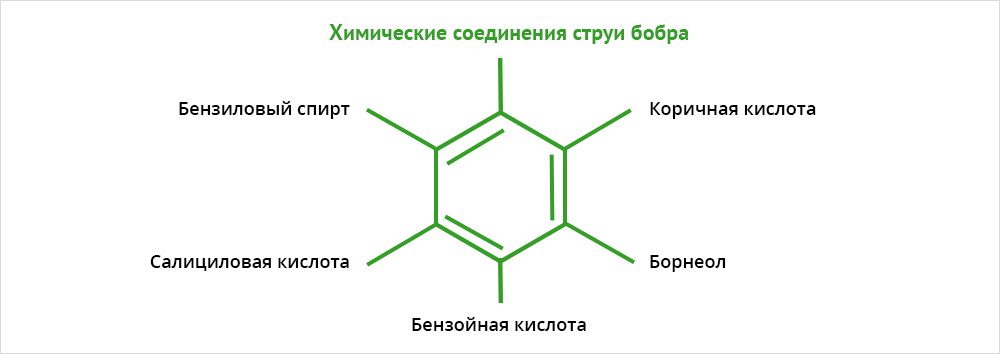 Химические соединения струи бобра Химические соединения струи бобра