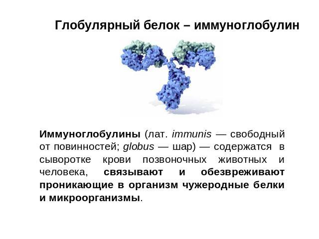 Иммуноглобулин Иммуноглобулин