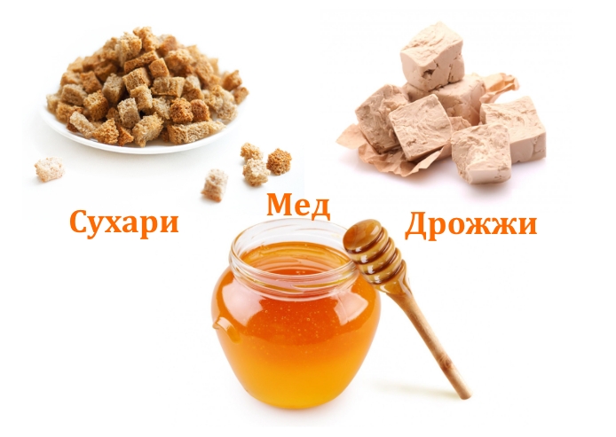 Ингредиенты для приготовления кваса Ингредиенты для приготовления кваса