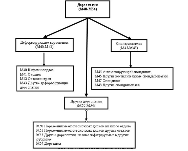 Классификация дорсопатии Классификация дорсопатии