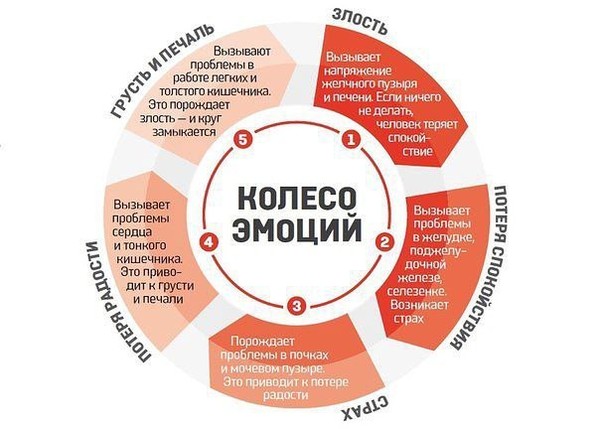 Колесо эмоций Колесо эмоций