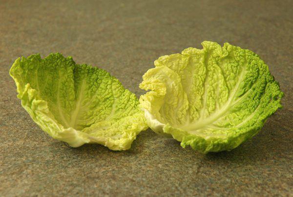 Лечение капустным листом при артрозе Лечение капустным листом при артрозе