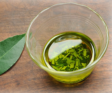 Масло из лаврового листа Масло из лаврового листа