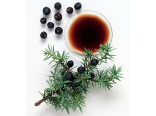 Масло можжевельника Масло можжевельника