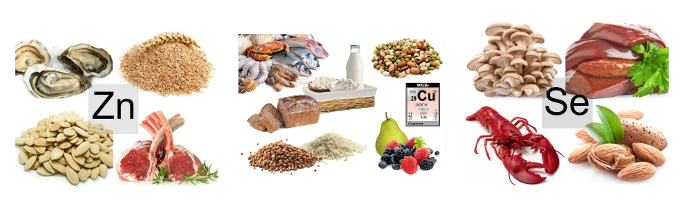 Медь, селен и цинк в продуктах Медь, селен и цинк в продуктах