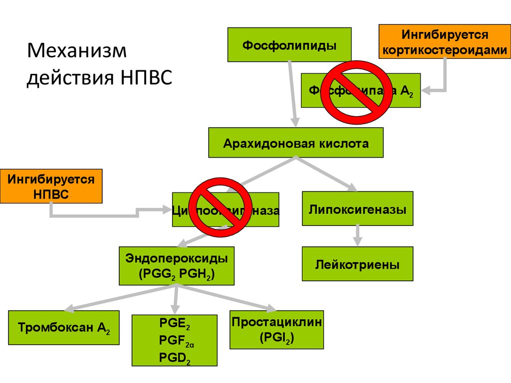 Механизм действия НПВС Механизм действия НПВС