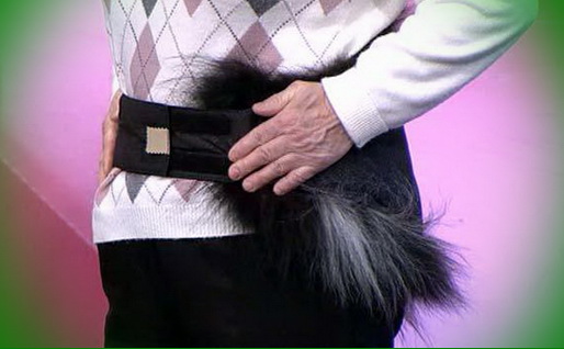 Меховой пояс при радикулите Меховой пояс при радикулите