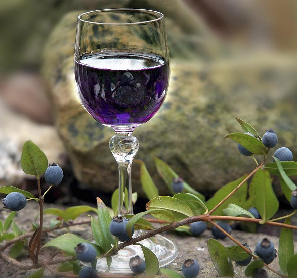 Настой из ягод черники Настой из ягод черники