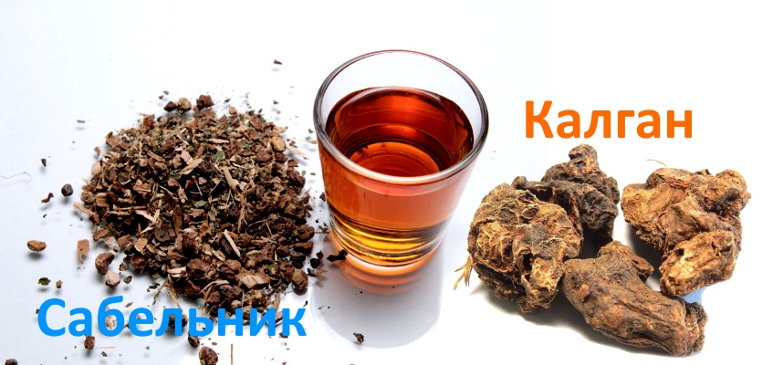Настой корня сабельника и калгана Настой корня сабельника и калгана