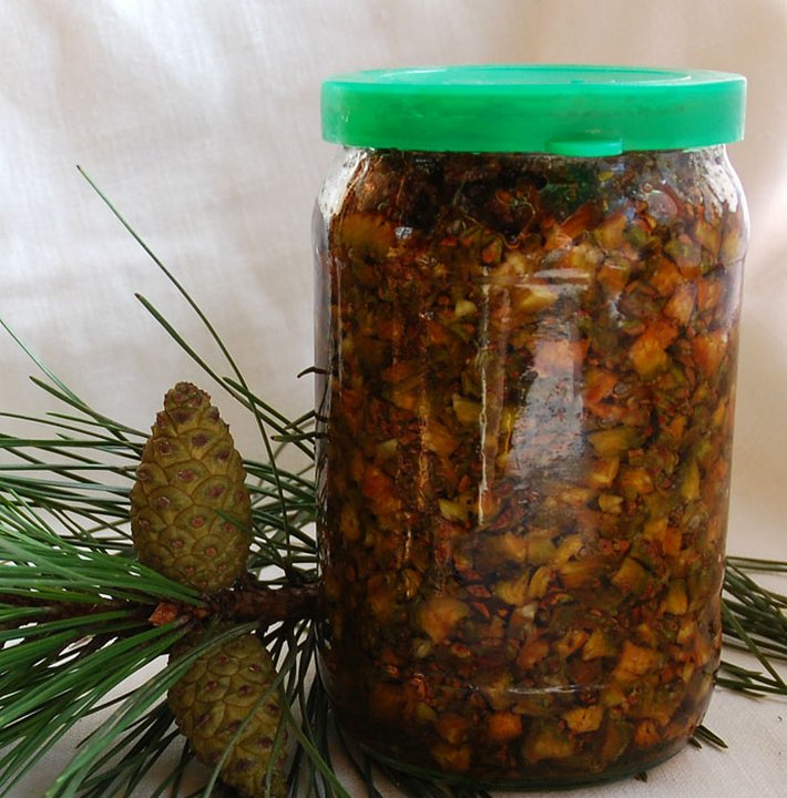 Настойка из сосновых почек Настойка из сосновых почек