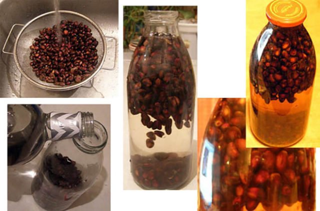 Настойка на кедровых орехах Настойка на кедровых орехах