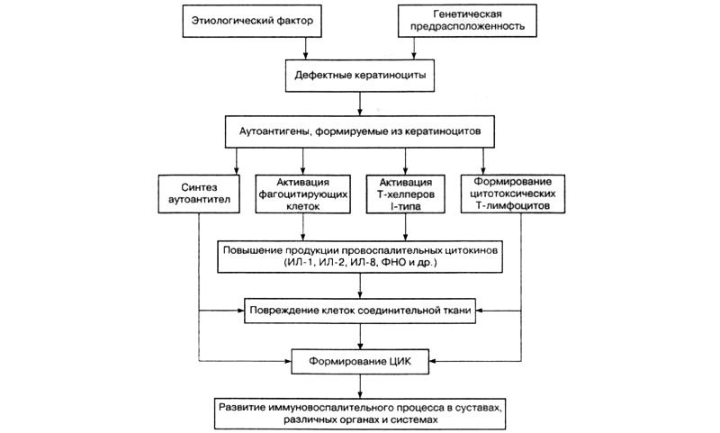 Патогенез псориатического артрита Патогенез псориатического артрита