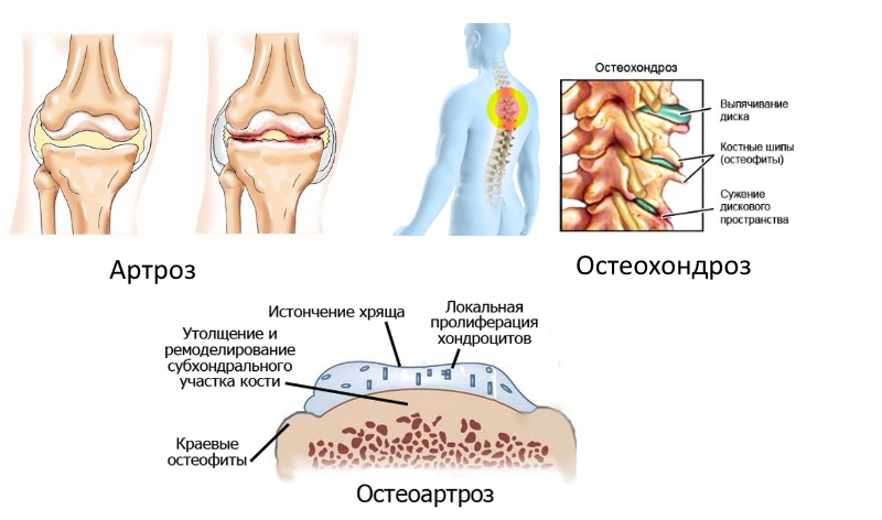 Показания для приема Показания для приема