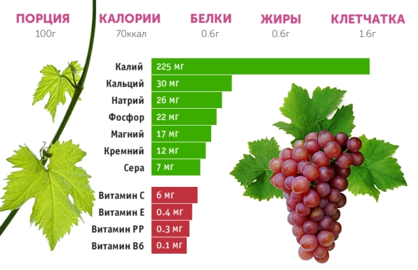 Полезный состав винограда Полезный состав винограда