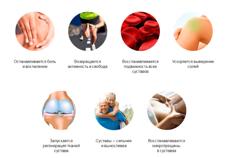 Польза Сусталайф Польза Сусталайф