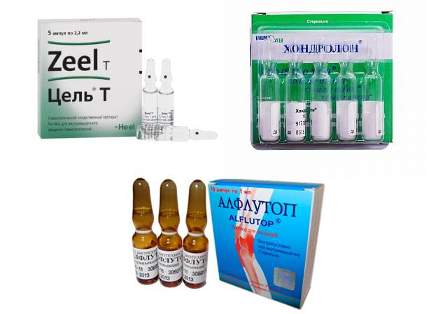 Препараты хондропротекторы Препараты хондропротекторы