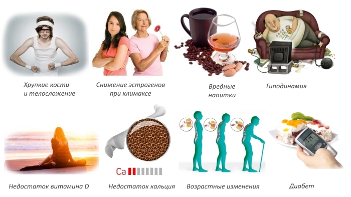 Причины остеопении Причины остеопении