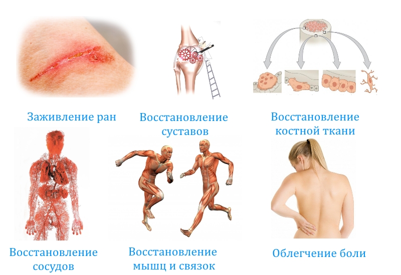 Применение препарата Применение препарата