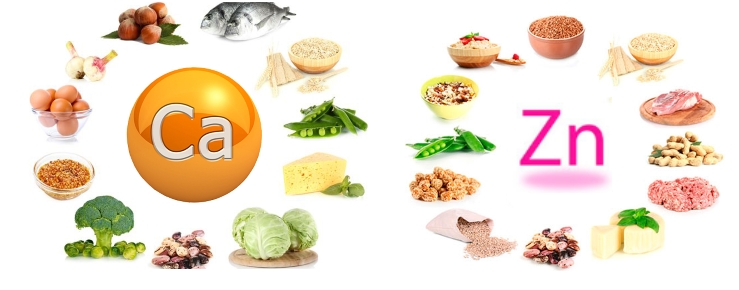Продукты, богатые кальцием и цинком, для суставов Продукты, богатые кальцием и цинком, для суставов