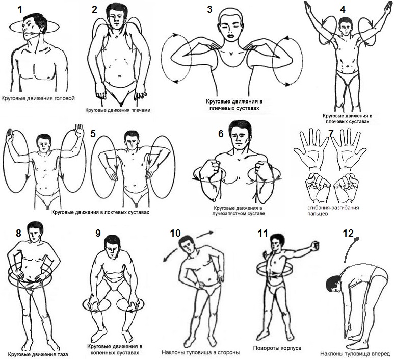 Разминка суставов перед тренировкой Разминка суставов перед тренировкой