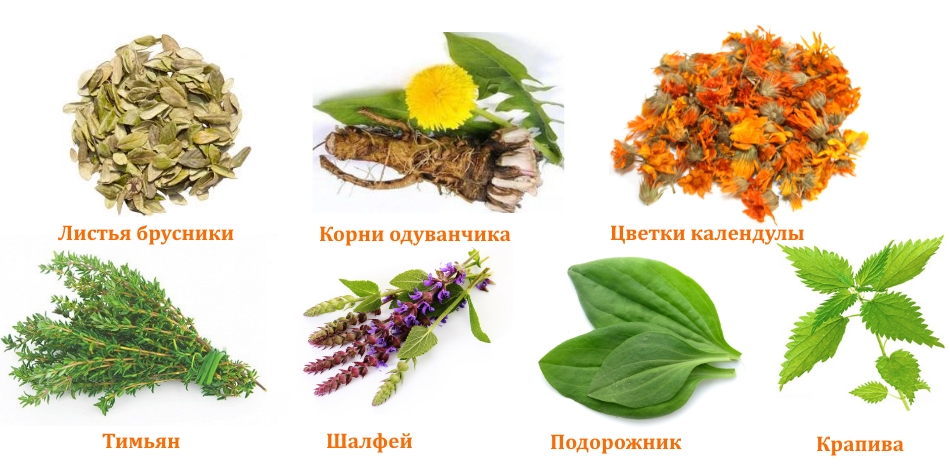 Состав БАДа Артровит Состав БАДа Артровит