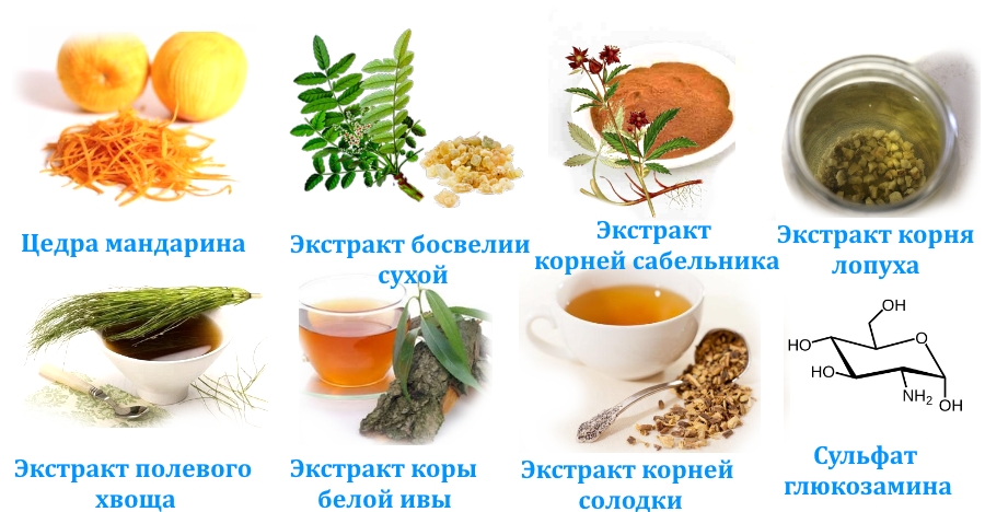 Состав Хондрофита Состав Хондрофита