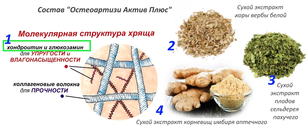 Состав Остеоартизи Актив Плюс Состав Остеоартизи Актив Плюс