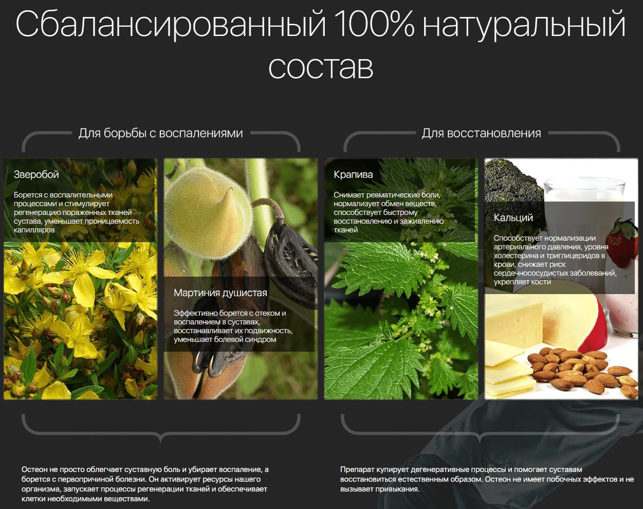 Состав Остеона Состав Остеона