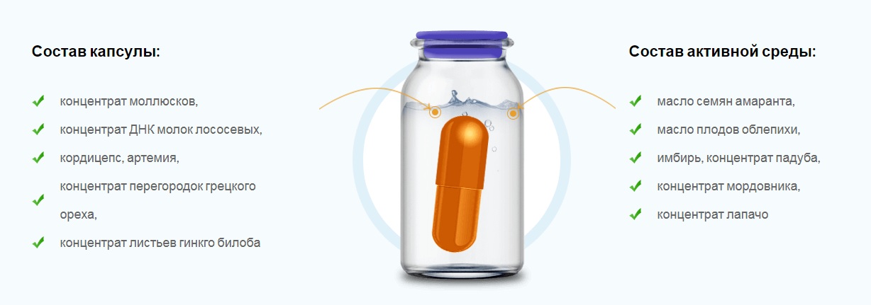 Состав Сусталайфа Состав Сусталайфа