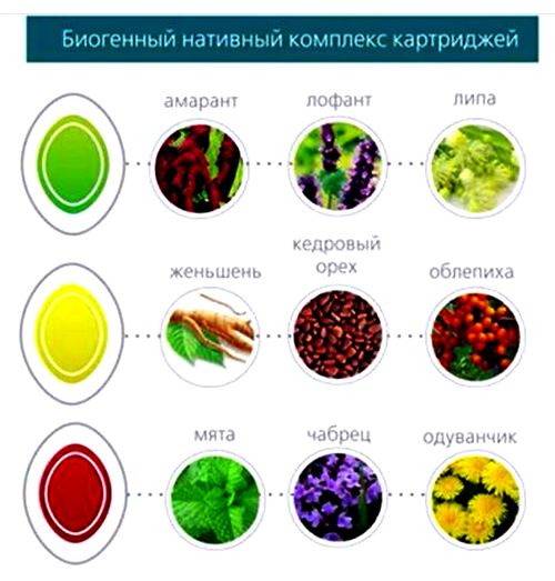 Состав компонентов пропитки сменных картриджей шины Valgulex Состав компонентов пропитки сменных картриджей шины Valgulex