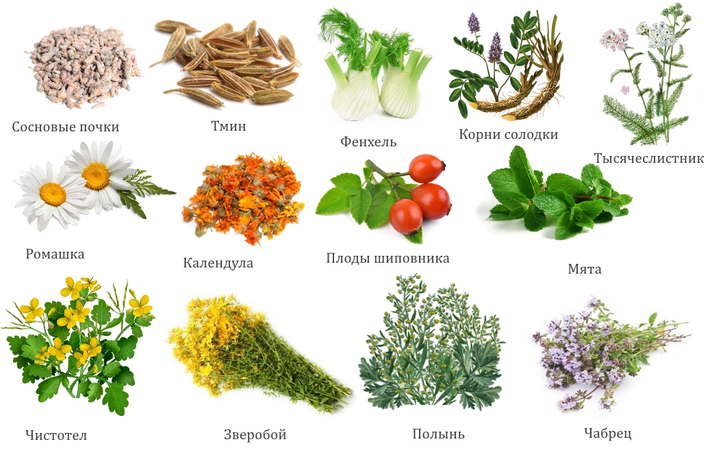 Состав крема Состав крема