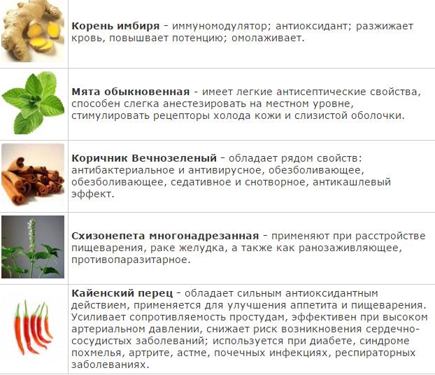 Активные вещества пластыря Маочжэн Активные вещества пластыря Маочжэн