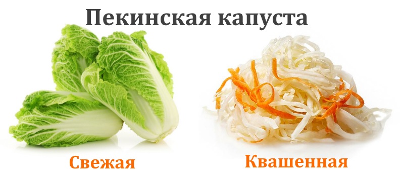 Свежая и квашенная пекинская капуста Свежая и квашенная пекинская капуста