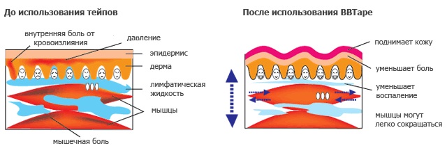 Свойства тейпов Свойства тейпов