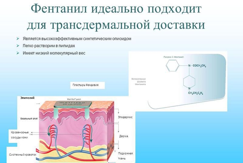 Действие трансдермального Фентанила Действие трансдермального Фентанила
