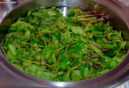 Ванночка со снытью Ванночка со снытью