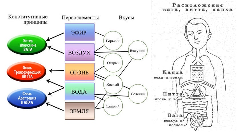 Вата, Питта и Капха Аюрведы Вата, Питта и Капха Аюрведы