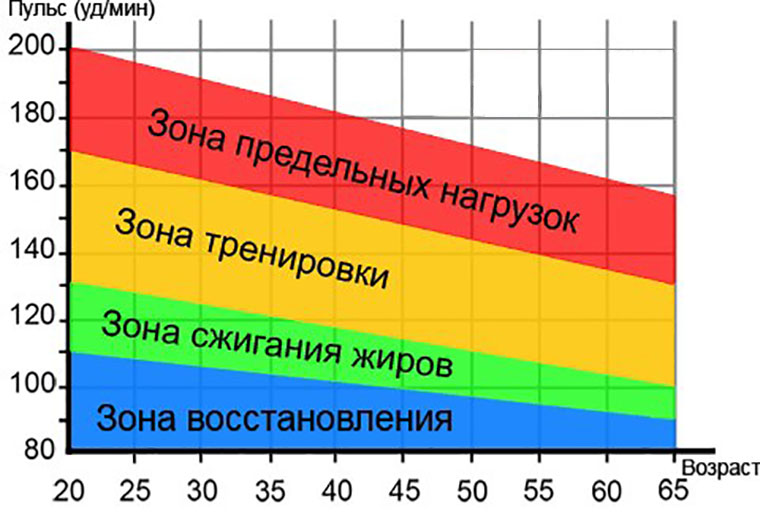 Зоны физической нагрузки в зависимости от возраста Зоны физической нагрузки в зависимости от возраста