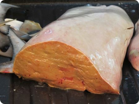 Скваламин в составе акульей печени Скваламин в составе акульей печени