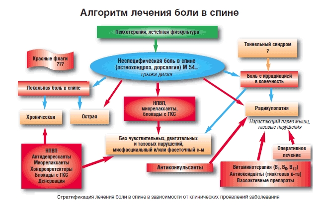 Алгоритм лечения боли в спине Алгоритм лечения боли в спине