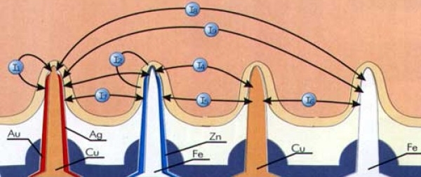Действие аппликатора Ляпко Действие аппликатора Ляпко