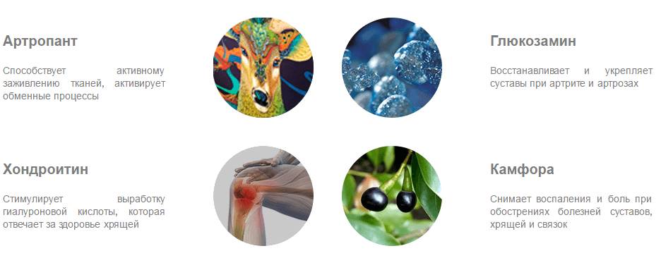 Состав Артропанта Состав Артропанта