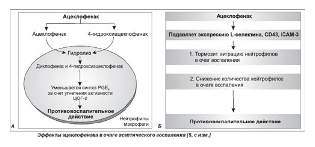 Действие Ацеклофенака Действие Ацеклофенака