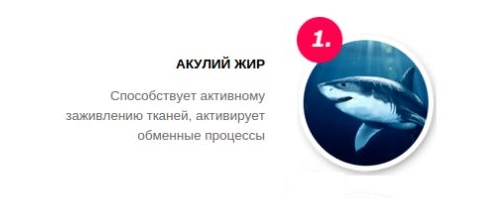 Свойства акульего жира Свойства акульего жира