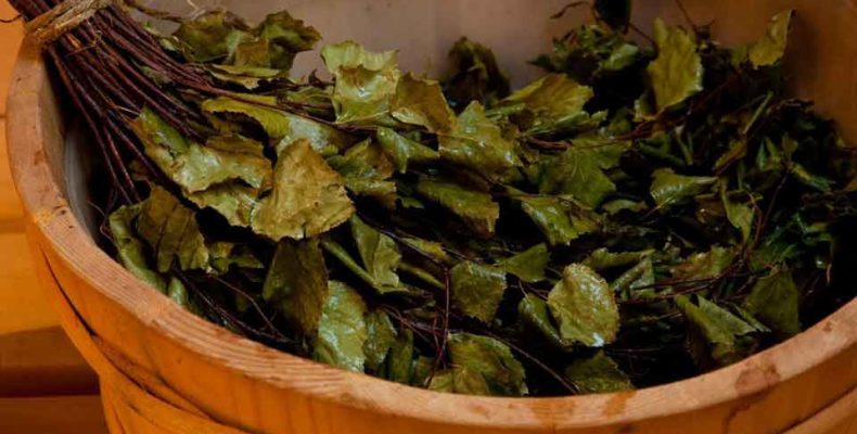 Лечение березовым веником Лечение березовым веником