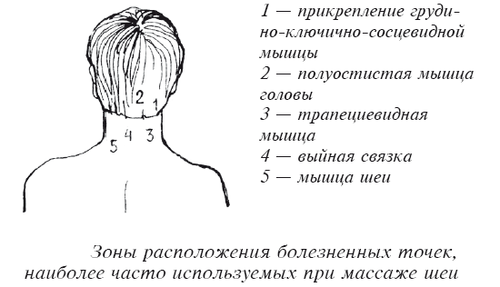 Болезненные точки при массаже шеи Болезненные точки при массаже шеи