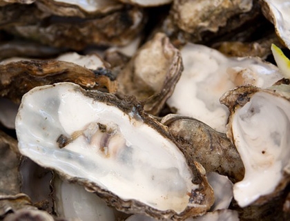 Сalcium carbonicum из устричных раковин Сalcium carbonicum из устричных раковин